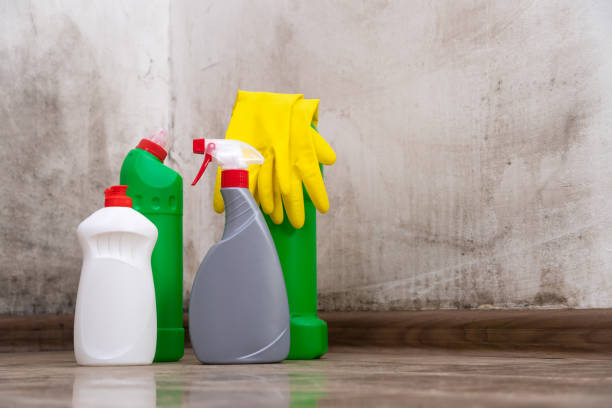 Best Mold Odor Removal Services  in USA